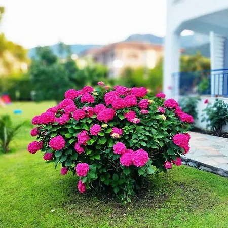 アパートホテル Riviera 4*