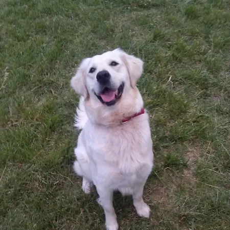 Riviera アパートホテル スタブロス